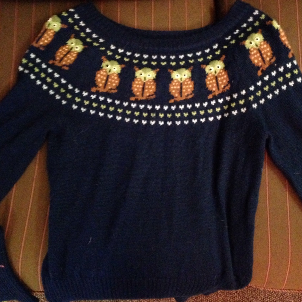 COPY - Urban outfitters Lux owl sweater